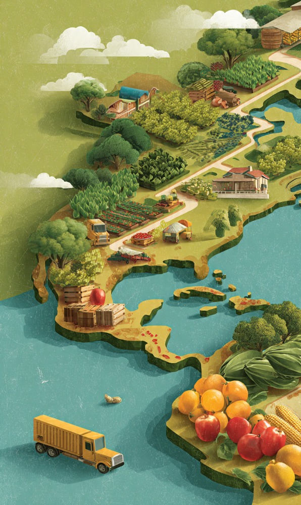 Local Sourcing and Regional Food Systems Drive Supply Chain Resilience